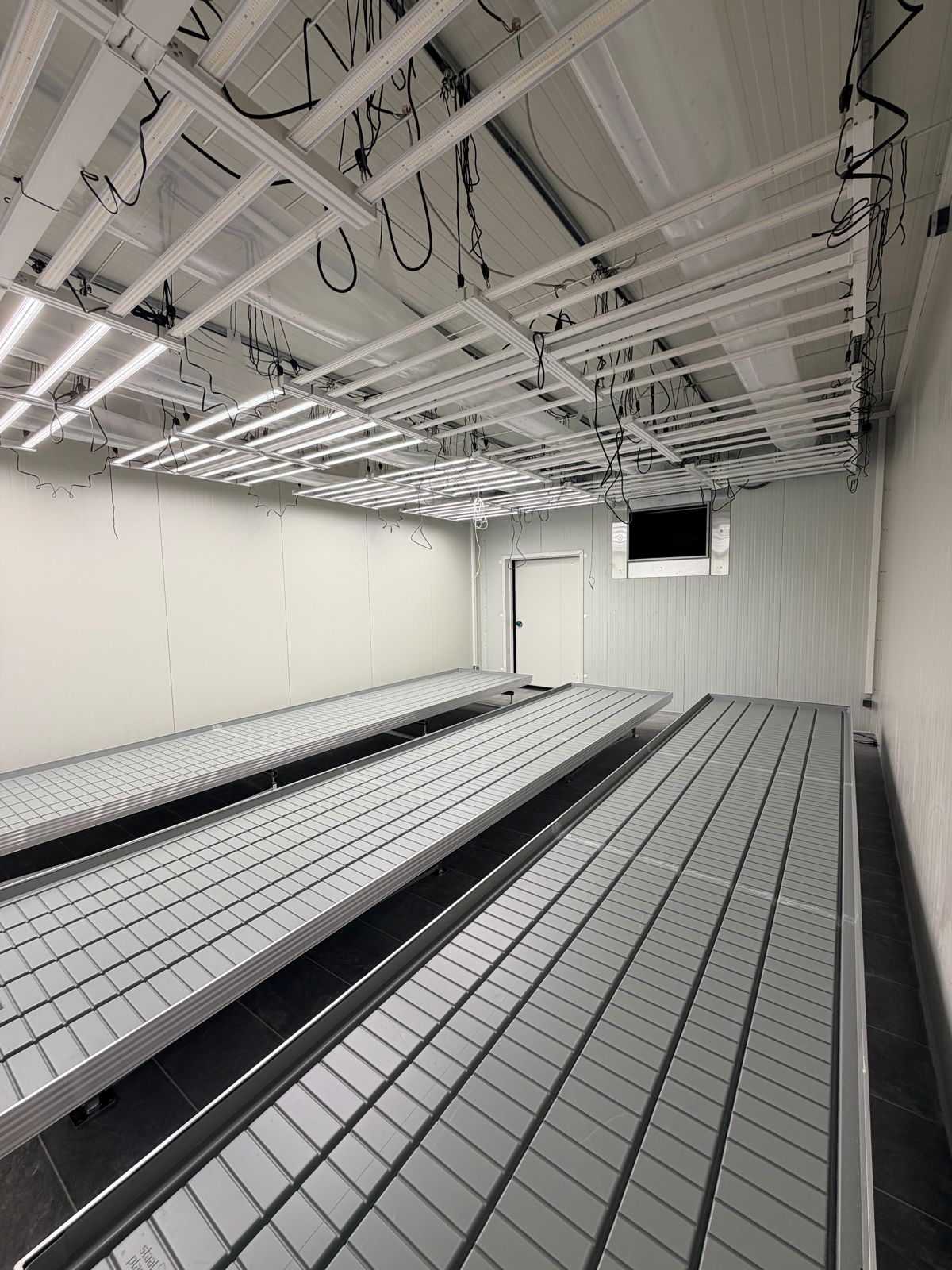 Grow room with LED bars above rolling tables