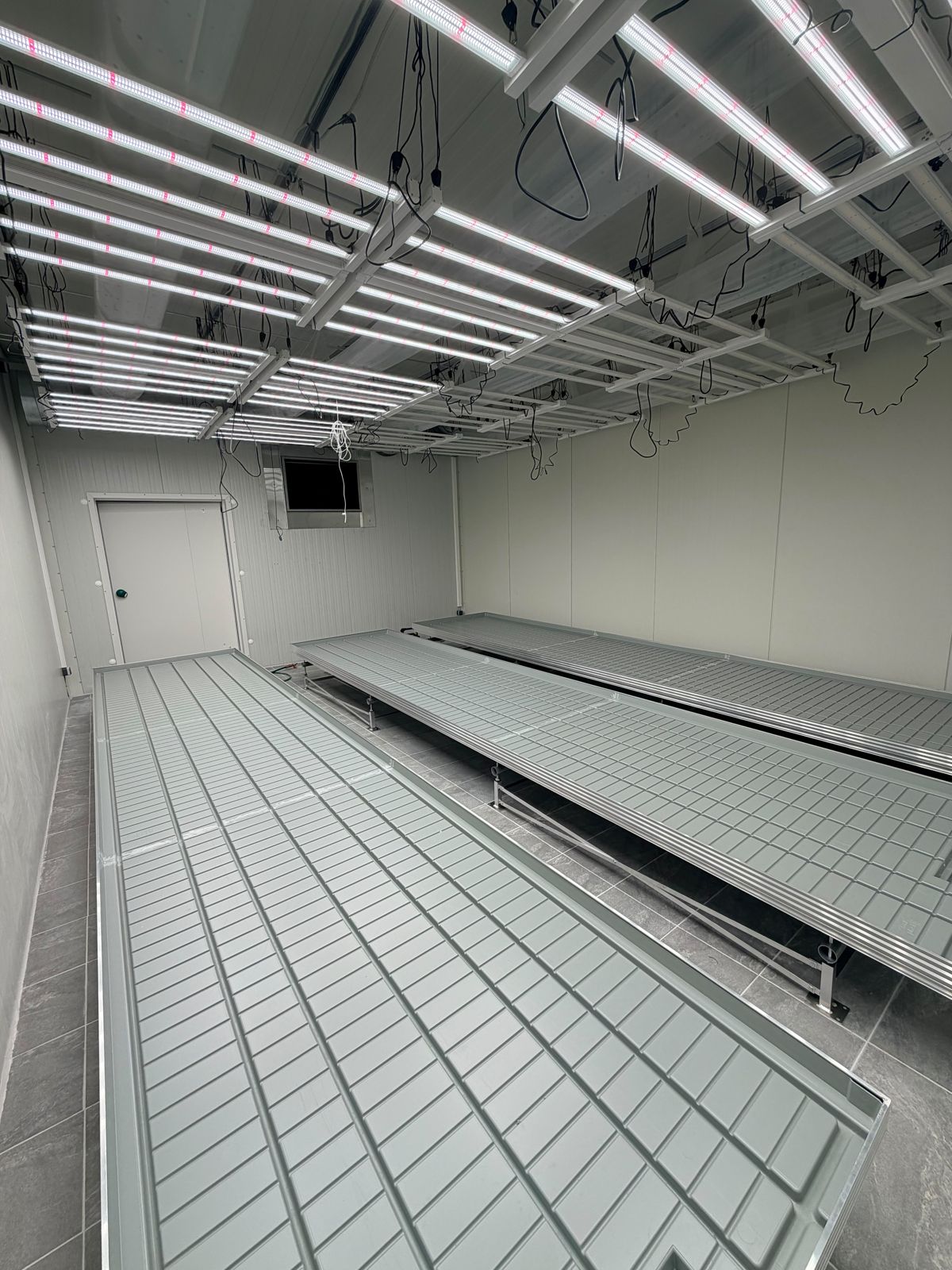 Finished grow room with rolling benches